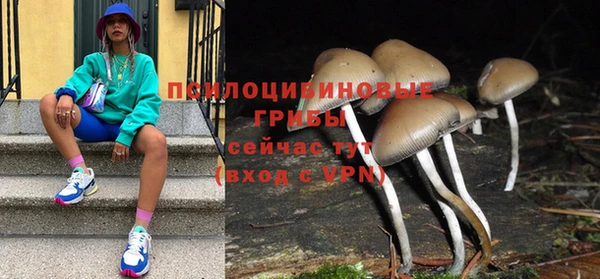 крисы Алзамай
