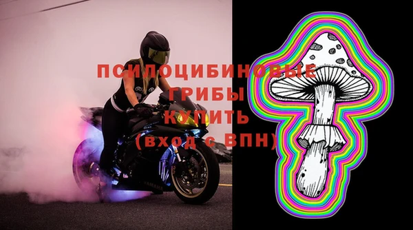 дмт Алексин