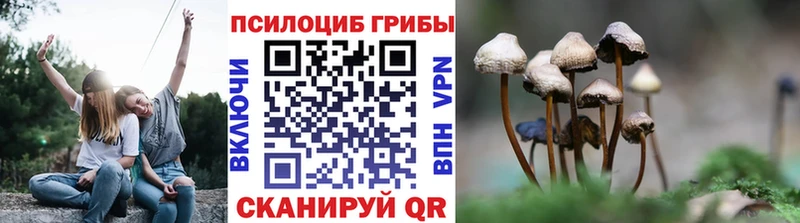 что такое наркотик  Козловка  мега рабочий сайт  Псилоцибиновые грибы Cubensis 